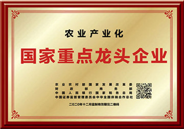 k8凯发(中国)天生赢家·一触即发