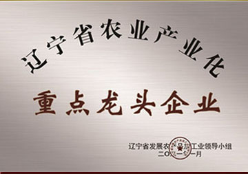 k8凯发(中国)天生赢家·一触即发